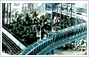 Bulk Material Handling Systems, Belt Conveyors India, Bagasse Handling S