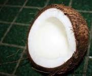 Whole sale Coconut exporters.