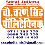 (Vocational) certificate  courses from ch. charan singh polytechnic