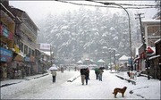 Manali Tours and Travels