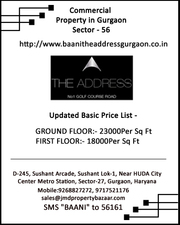 Commercial Property Gurgaon Sec56