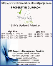 Property Gurgaon Sec 95