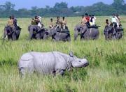 Plan adventurous Wildlife travel in India