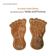  Laxmi Charan Paduka, Shri Laxmi Charan Paduka Call 09350487721