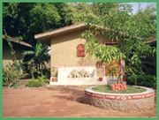 Homely Stay at Majestic Bandhavgarh Jungle Lodge