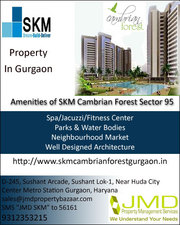 Upcoming Property In Gurgaon Sector 95