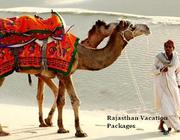 Best Vacation Packages for Rajasthan in India