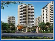 Residential Apartment At Assotech Blith Sector 99 Gurgaon