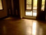 6 bed rooms hauz khas independent house on rent 600 sq yards