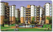 Get the Best deal of Venetia by Divyam Group Greater Noida