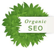 Leading SEO Services Company India