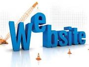 Web development services by TIIT solutions