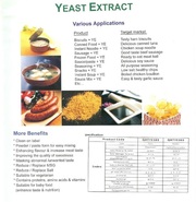 Food Yeast Extract Manufacturers company