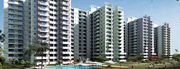 Best investment options in Noida (200-400 Sq.yd.)