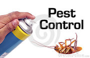 Best discount offer Pest control management services @Call 9711901086