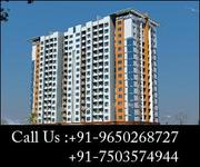 4BHK Apartments In Microtek Greenburg Gurgaon Call 9650268727