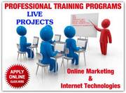 Professional SEO  Training by top Seo Company