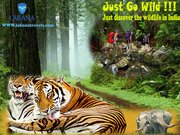 Indulge in Wildlife tour with India tour package