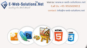 Ecommerce Website Design Services