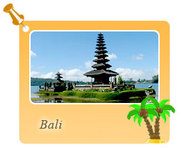 Bali Holiday Tour Package