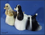 cocker spaniel pups for sale