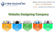 Custom Web Design Services offered by E-Web-Solutions.Net