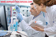 Medical Translation Services for Drug manufacturing Companies