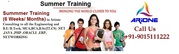 Best IT Training Institute in Noida