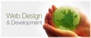 Web Design and Development Company in Delhi,  web promotion services