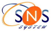 SNS SYSTEM OFFERS WEB SERVICES 