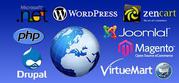 Web design services India 