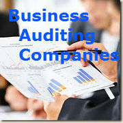 List of top 10 best Business Auditing Companies in Delhi NCR