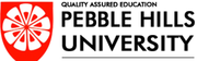 MBA from Pebble Hills University USA