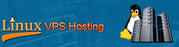 Linux VPS Hosting Service in India