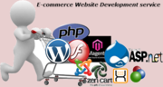 Affordable E-commerce Website Development service In Faridabad. 