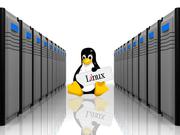Importance of Linux Web hosting in India