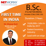 bsc it training institute