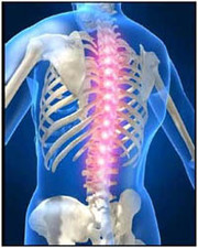 Spine Surgery in Delhi Your Problems Our Concern