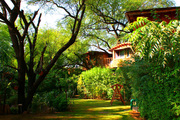 Tree House Facilities-Tree House Resort-Tree House Resort Ranthambore