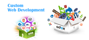 Website Designing & Development Services in Delhi