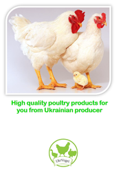 Poultry meat. Ukranian export