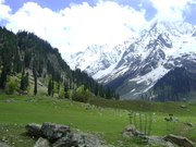 Jammu and kashmir tour