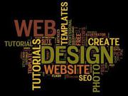 Website Design Company in Delhi 