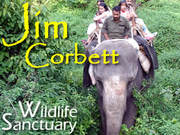 Jim Corbett Tour Packages