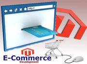 E-Commerce Website Design Company in Dwarka