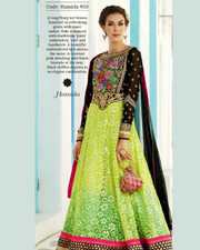 Black and Light Green Long Anarkali suit