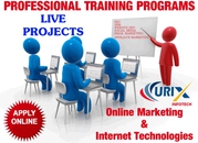 Best SEO Training Course in Noida 