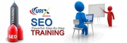 Best SEO Training Institute in INDIA