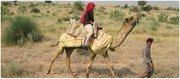 Rajasthan Tour Packages | Tours and travels in India