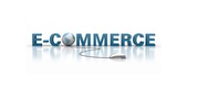 Ecommerce-Development Services Royal in Delhi